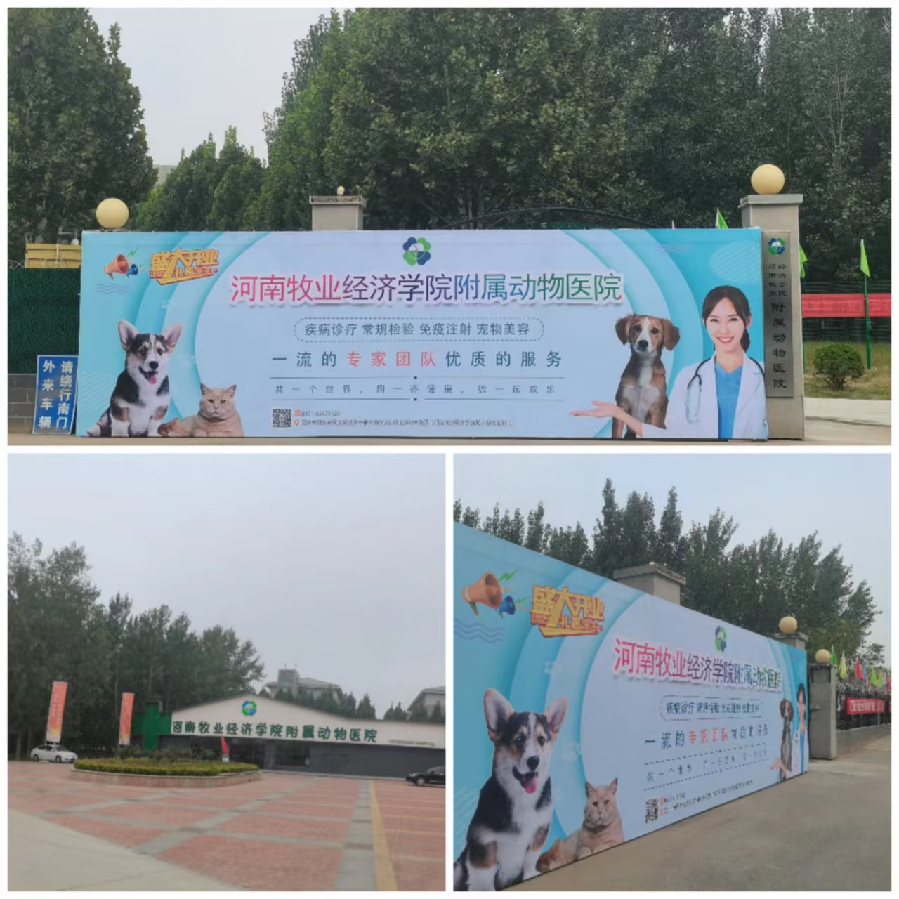 明升ms88首页注册